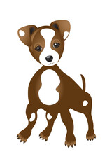 Beautiful drawn portrait of a cute little dog of the dog breed Jack-Russell