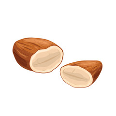 almond nut seed cartoon vector illustration