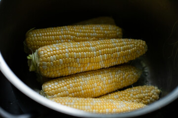 Peeled corn in a saucepan. Corn on the cob. Сooking of corn