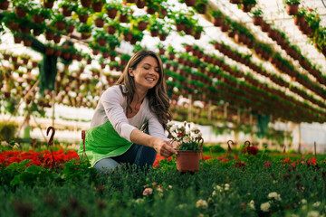A beautiful Caucasian woman works with flowers in a greenhouse. She checks the plants and prepares for the order .