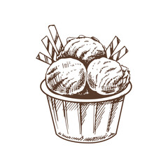 A hand-drawn sketch of an ice cream balls in a cup. Vintage illustration. Element for the design of labels, packaging and postcards.