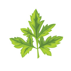parsley leaf green cartoon vector illustration