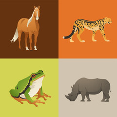 Frog, Horse, Cheetah, Rhinoceros Wildlife Collection. Animal Wildlife Icon Set
