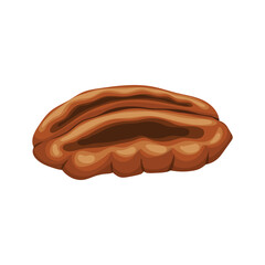 pecan nut food cartoon vector illustration