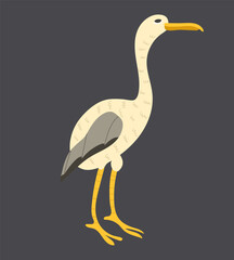 Crane bird isolated on dark background. Vector illustration