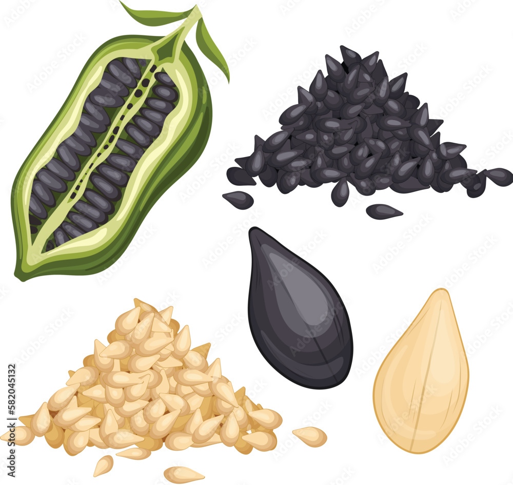 Wall mural sesame seed food set cartoon vector illustration