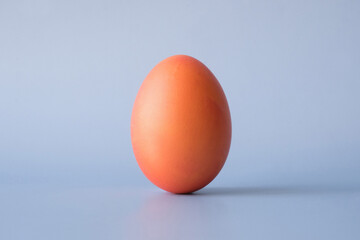 Colored orange Easter egg on a light blue background