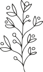 collection forest fern eucalyptus art foliage natural
leaves herbs inline style. Decorative beauty, elegant illustration 
Vector flower Botanical