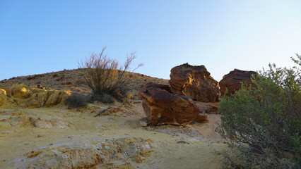 Tree trunk fossils are on the bottom of the crater Makhtesh Gadol, in the south of Israel,  Negev...
