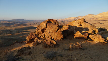 Tree trunk fossils are on the bottom of the crater Makhtesh Gadol, in the south of Israel,  Negev...