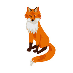 vector drawing fox, hand drawn animal isolated at white background , cartoon style character