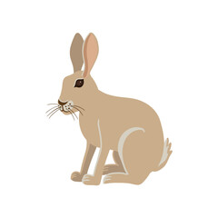 vector drawing hare, rabbit, hand drawn animal isolated at white background , cartoon style character