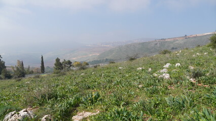 Fototapeta na wymiar View of Ayun River Nature Reserve in northern Israel