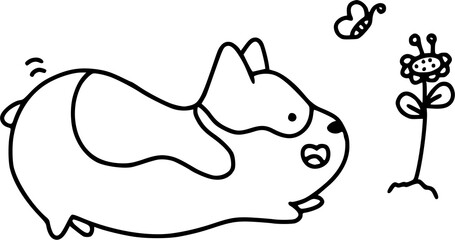 cute corgi dog playing with butterfly