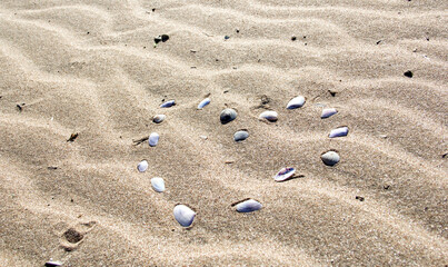 heart from sea shells on the sand
