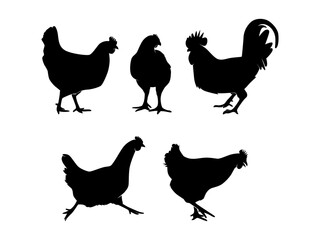Set of Chickens Silhouette Vector Isolated - Animal Silhouette Illustration