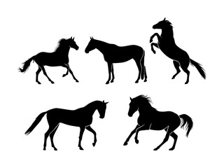 Set of Horses Silhouette Isolated on a white background - Vector Illustration