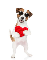 Happy jack russell terrier puppy wearing sunglasses holds red heart. isolated on white background