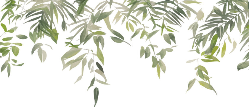 eucalyptus branches, seeds and leaves. Hand drawn eucalyptus bouquet isolated on white background. Floral illustration for design, print, fabric or background. vector illustration