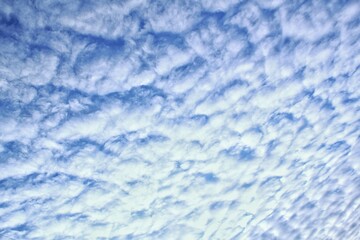 Fototapeta premium White light soft clouds floating in blue sky. Nature morning landscape background. Clear spring wind. Bright summer day. Winter calm air skyscape. Abstract panorama. Change climate. Low angle view