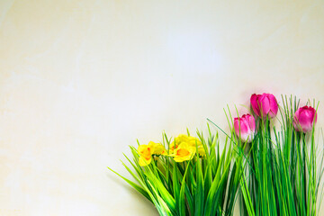 Spring nature background with lovely blossom pink tulips and yellow daisys bright pastel color background, top view, banner. Springtime concept copy space