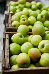 Fresh green apples on the wooden boxes, harvest, space for your text, local market or supermarket, Ukraine apples.
