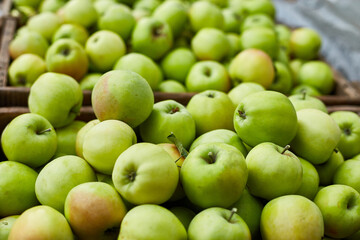 Fresh green apples on the wooden boxes, harvest, space for your text, local market or supermarket, Ukraine apples.