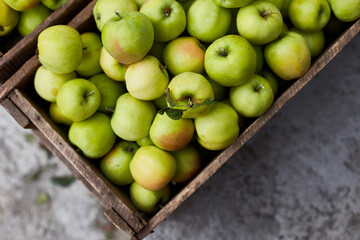 Fresh green apples on the wooden boxes, harvest, space for your text, local market or supermarket, Ukraine apples.
