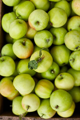 Fresh green apples on the wooden boxes, harvest, space for your text, local market or supermarket, Ukraine apples.
