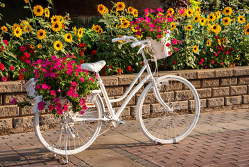 Fototapeta na wymiar White bicycle with flowers in a garden