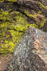 Green Lichens and Boulder, Lava Beds National Monument
