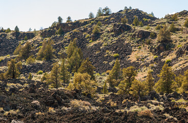 Rugged Lava Field at Lava Beds National Monument