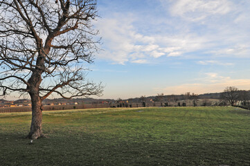 Franciacorta, vigneti e colline in primavera - Brescia