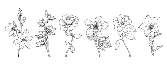 Set of hand drawn botanical flowers line art vector. Collection of black white contour drawing of rose, wildflowers, leaf. Design illustration for print, logo, cosmetic, poster, card, branding.