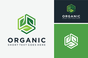 3 Three Leaves Plant Leaf with Hexagon Box for Natural Fresh Organic Healthy Gift Product logo design
