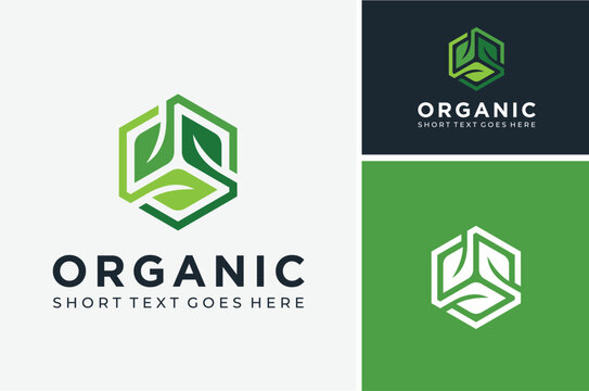 3 Three Leaves Plant Leaf with Hexagon Box for Natural Fresh Organic Healthy Gift Product logo design