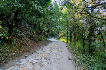 Forest path to Dorothy's Seat in Nainital