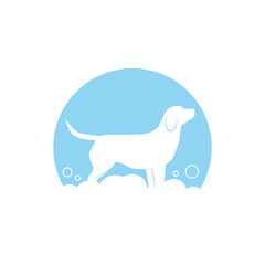 Blue dog logo during grooming with soap suds