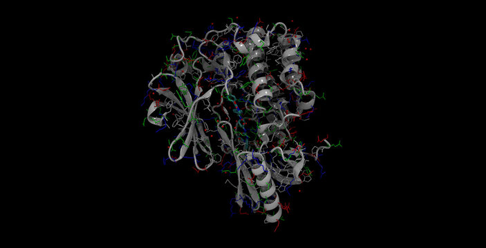 Programmed cell death (apoptosis) protein AKT1 kinase,  3D molecule, 4K