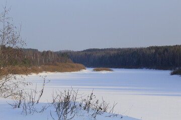 Forested banks of the Cobra River in early spring