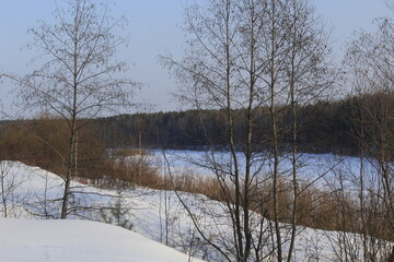 Forested banks of the Cobra River in early spring