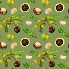 Macadamia nut watercolor. watercolor pattern of macadamia nuts.