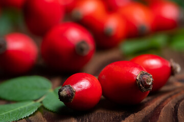 Dog rose with bunch branch Rosehips, types Rosa canina hips. Medicinal plants and herbs composition
