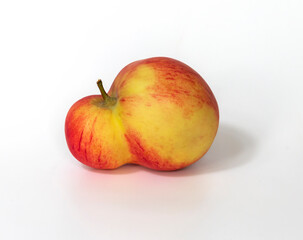 An unusual shaped apple with a double plum on a white background.