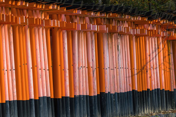 日本　京都府伏見区深草にある伏見稲荷大社の千本鳥居