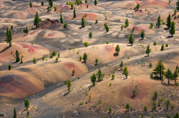 Fototapeta premium Overlook from the Volcanic Cone at Lassen Volcanic National Park