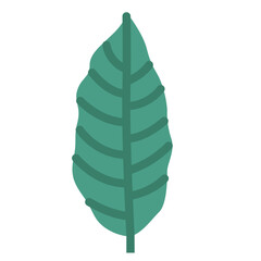 leaves flat icon style