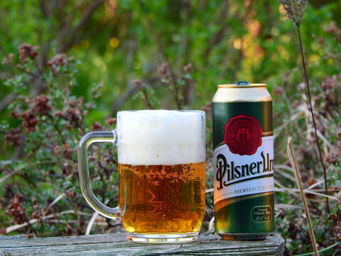 Can of pilsner urquell czech beer on table in early spring garden - taldom, russia - may 13, 2019