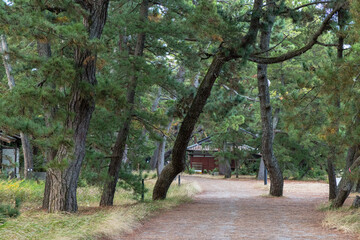 日本　京都府宮津市の丹後天橋立大江山国定公園