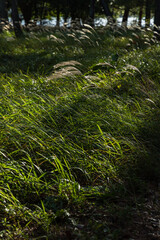 日本　京都府宮津市の丹後天橋立大江山国定公園